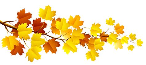 autumn leaf clip art|autumn leaves background clip art.